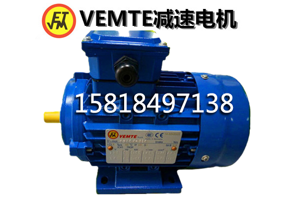 IMB3電機(jī) IMB3電機(jī)